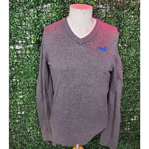 Hollister Other - Hollister Co. Sweater